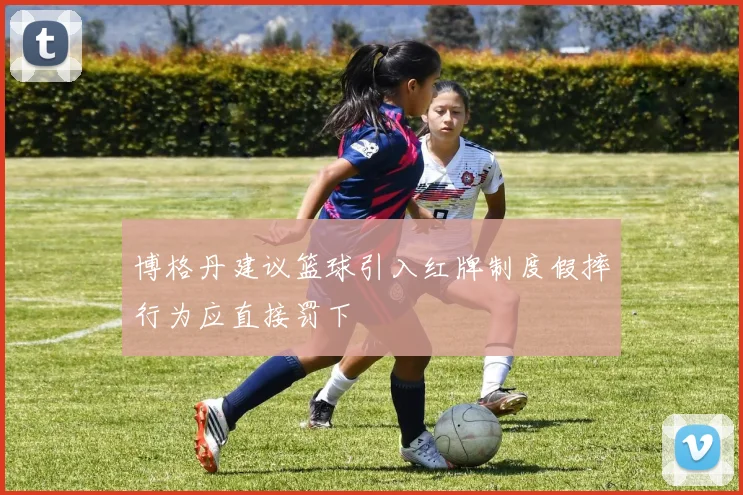 博格丹建议篮球引入红牌制度假摔行为应直接罚下