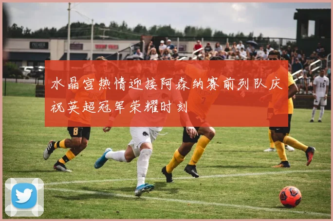 水晶宫热情迎接阿森纳赛前列队庆祝英超冠军荣耀时刻