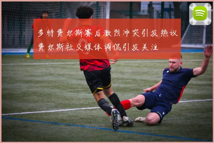多特费尔斯赛后激烈冲突引发热议费尔斯社交媒体调侃引发关注
