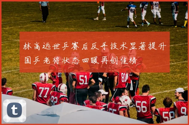 林高远世乒赛后反手技术显著提升国乒老将状态回暖再创佳绩