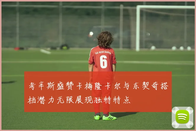 考辛斯盛赞卡梅隆卡尔与东契奇搭档潜力无限展现独特特点